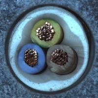 Dataset Image