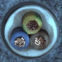 Dataset Image