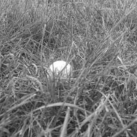 Golf Ball Detection project thumbnail