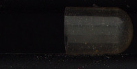 Capsule_classification project thumbnail