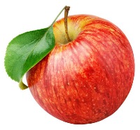 fruit project thumbnail