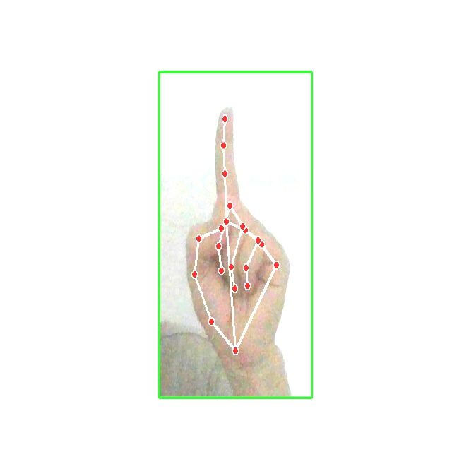 hand Object Detection Model by test