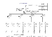 OCR_09_11_2023 project thumbnail