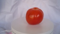 tomat project thumbnail