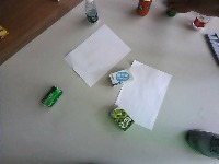 Dataset Image