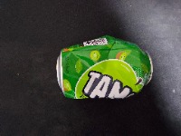 Dataset Image
