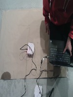 Dataset Image