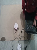 Dataset Image