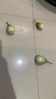 ingredient food project thumbnail