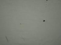 grey-fabric-detection project thumbnail