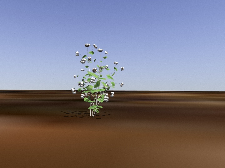 Gazebo Cotton Object Detection Dataset by Zhang lab Projects