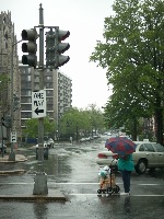 Traffic Sign Detection project thumbnail