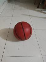 basketball detection Object Detection Model by robocon basketball train