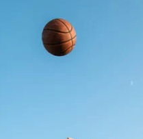 basketball detection Object Detection Model by robocon basketball train