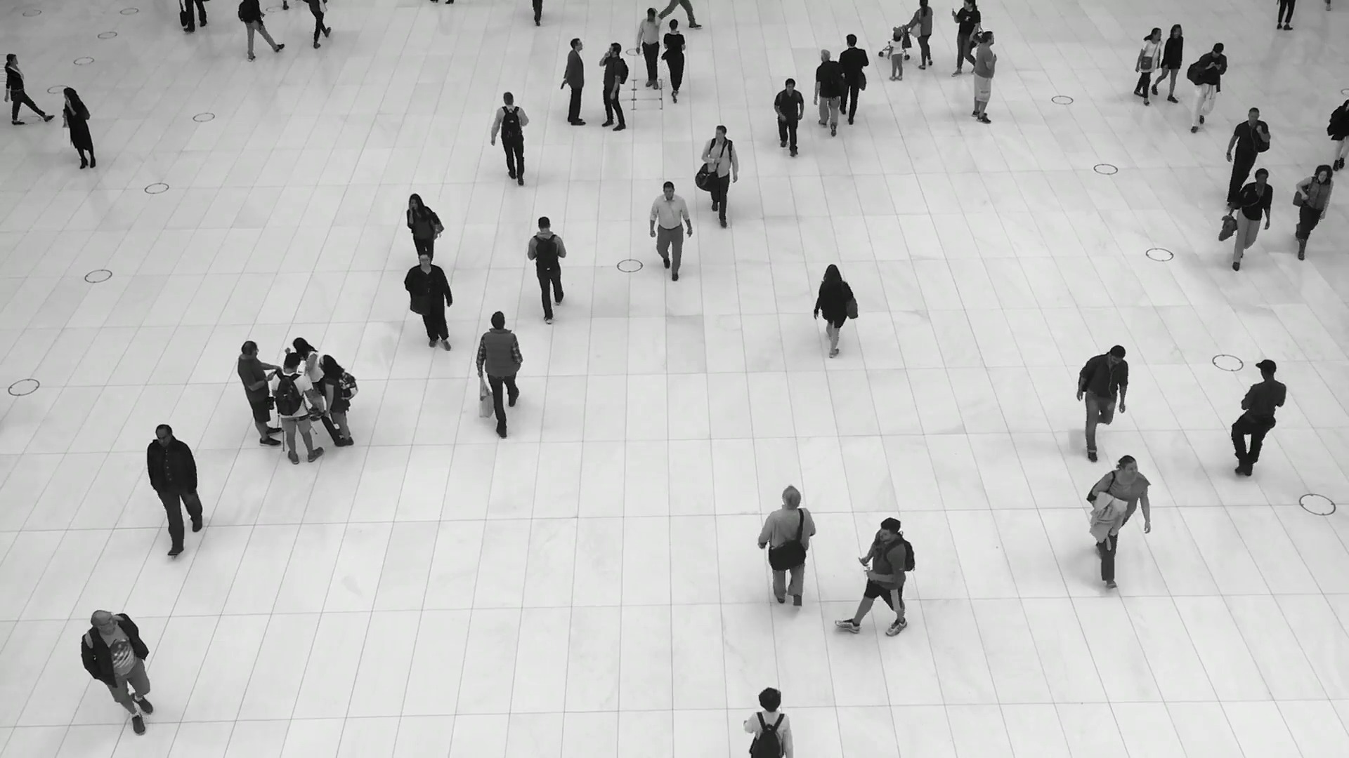 human detection Object Detection Model by meltem