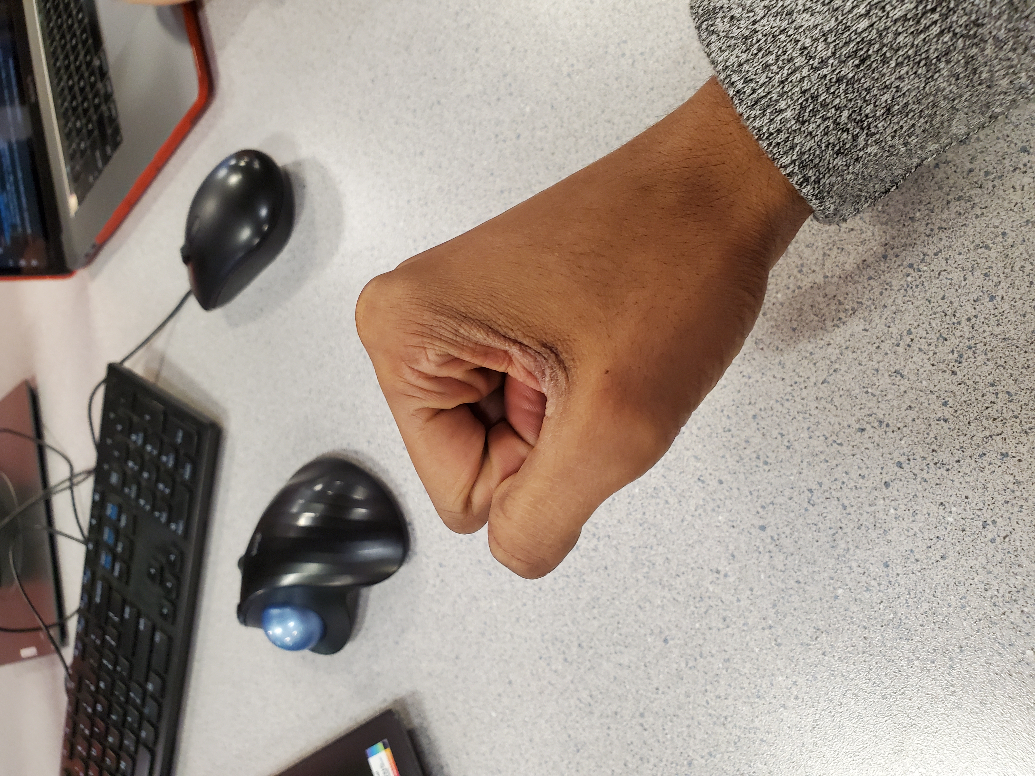 lab4 (lab4-dno6h) - Roboflow Universe