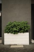 planters test project thumbnail