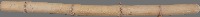 Bamboo project thumbnail