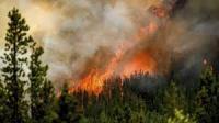 incendios satelitales project thumbnail