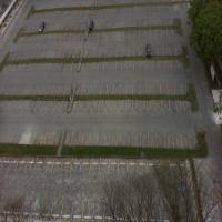illegal parking project thumbnail