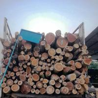 logs-timber project thumbnail