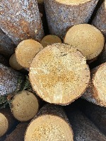 logs project thumbnail