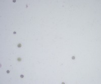 241210 project thumbnail