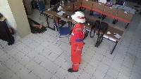 Dataset Image