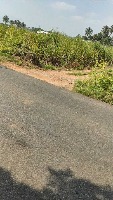 Sugarcane project thumbnail