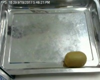 Dataset Image