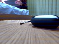 Dataset Image