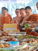 monk Classification project thumbnail