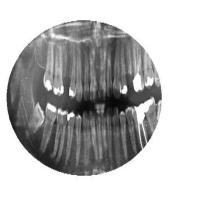 orignal image  project thumbnail