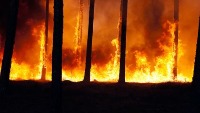 Fire detection(bounding boxes) project thumbnail