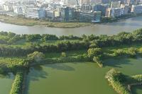 land project thumbnail