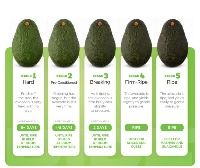 Avocado-Ripeness Object Detection Dataset by Project