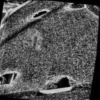 Vehicle Damage Dataset project thumbnail