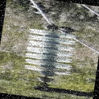 Dataset Image