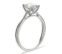 Detect And Classify Single-label Classification project thumbnail