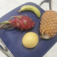 Dataset Image