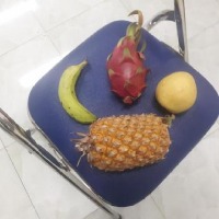 Dataset Image