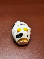 class project thumbnail