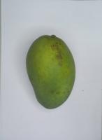 Multi Class Fruit Detection project thumbnail