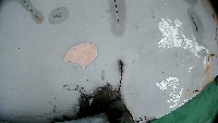 231125선명 project thumbnail