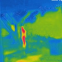 object detection in thermal images Object Detection Model by ...