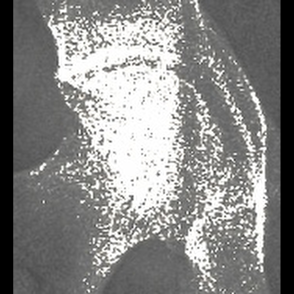 1024 resized unet Semantic Segmentation Dataset by UNET