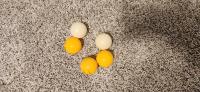 Ping Pong Detection project thumbnail