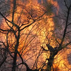 Responsive Smoke Detection - Roboflow Universe