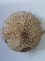 Areca project thumbnail