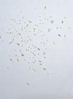 Rice grain sorting project thumbnail